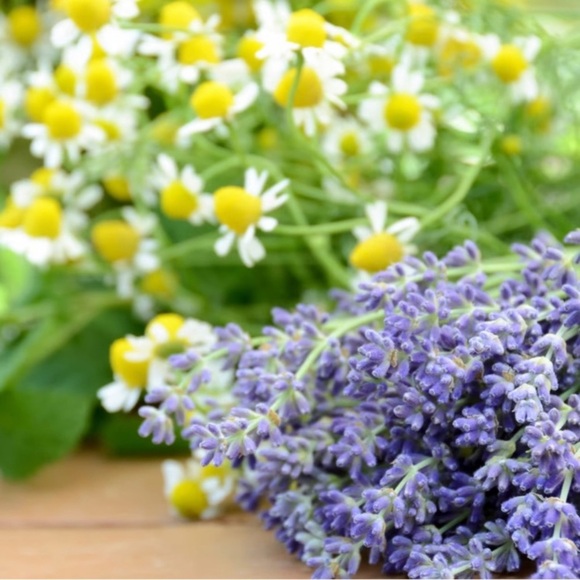 Johnson's Body Care Melt Away Stress Lavender & Chamomile Lotion - Picture 4 of 5